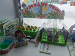 Огород на подоконнике у малышей.